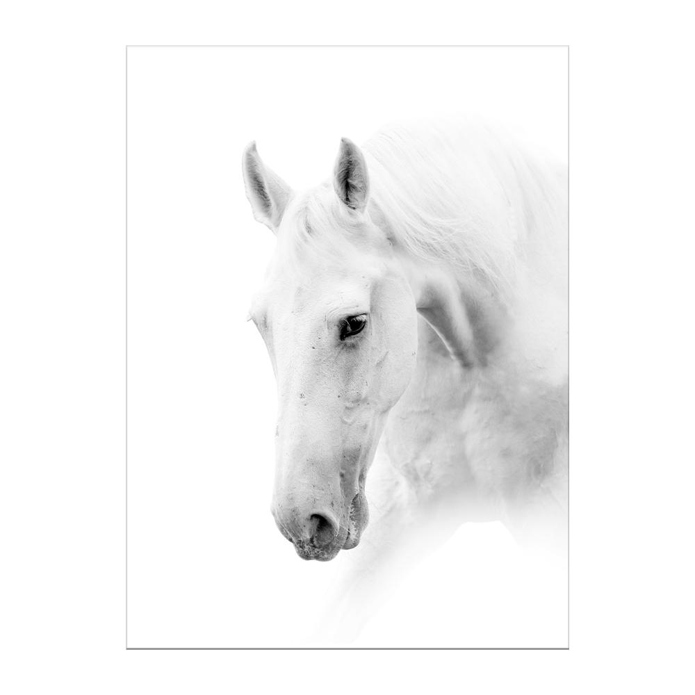 Black and White Horse Poster Print Canvas Painting Horses Running Animal Wall Art Picture for Farmhouse Room Home Decor