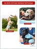 Small dog diapers belts for dogs size S 12 pcs