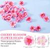 10/20/50Pcs 4cm Silk Plum Blossom Heads Artificial Cherry Blossom Flowers for Home Room Wedding Decor DIY Flowers Wall Accessory