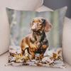 Mini Dachshund Dog Cushion Cover Decor Pet Animal Pillow Cases Super Soft Plush Pillowcase for Sofa Home Children Room ,(2)