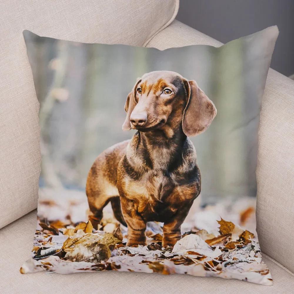 Mini Dachshund Dog Cushion Cover Decor Pet Animal Pillow Cases Super Soft Plush Pillowcase for Sofa Home Children Room ,(2)