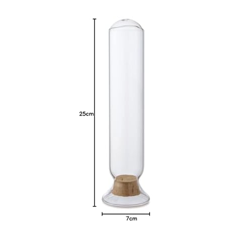 POSH LIVING Seed Bottle Cylinder, Clear, Size: Approx. W7 D7 H25 22716
