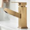 TLXT Antique Square Pull-Out Basin Faucet