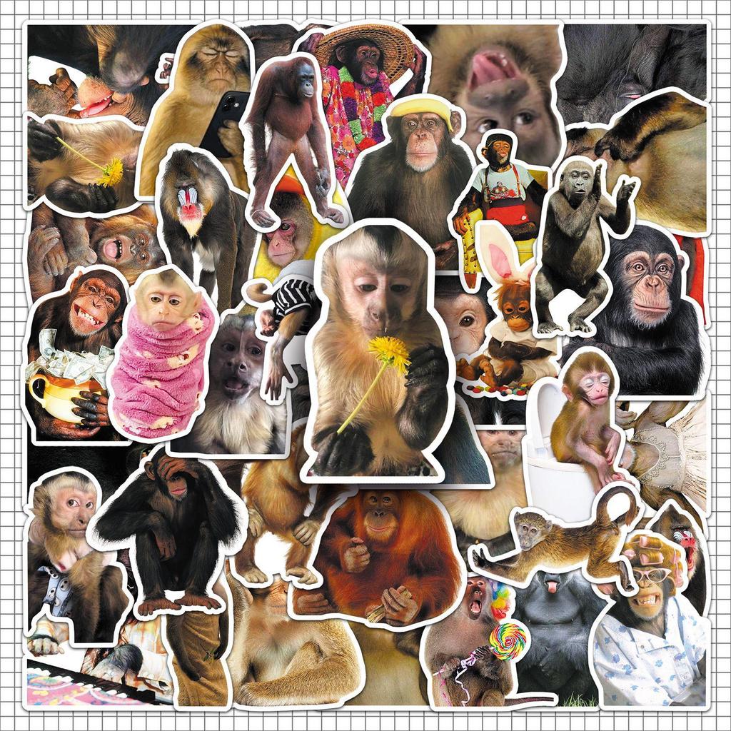 50 Crazy Monkey Cartoon Stickers: Fun, Creative, Waterproof Suitcase & Desktop Decorations