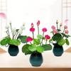 Plastic Simulation Lotus Leaf Pot Ceramic Basin Artificial Lotus Flower  Spring Home Office
