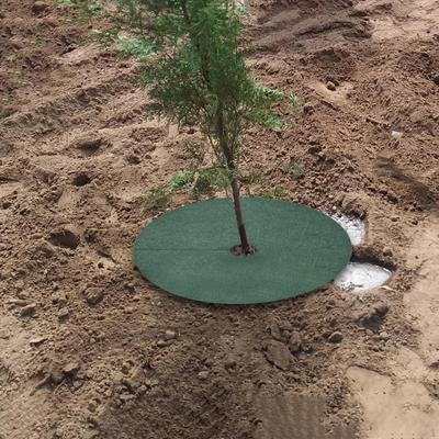 Bahçe ve Teras İçin Ağaç Koruma Paspasları