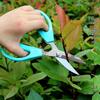 Quanxin Heavy Duty Stainless Steel Gardening & Floristry Scissors for Household and Flower Shops