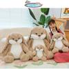 Plush Rabbit Diudiu Toy Cushion Pillow Stuffed Animal Doll Room Decor Kids Gift
