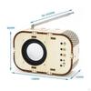 Scientific Experiment DIY Radio Model Wooden Educational Puzzle Learning Material Assembly 3D