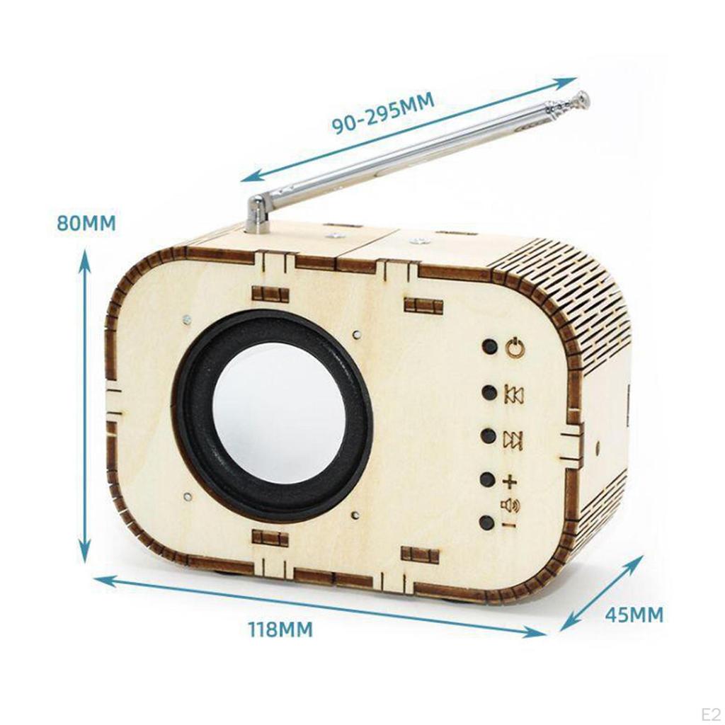 Scientific Experiment DIY Radio Model Wooden Educational Puzzle Learning Material Assembly 3D