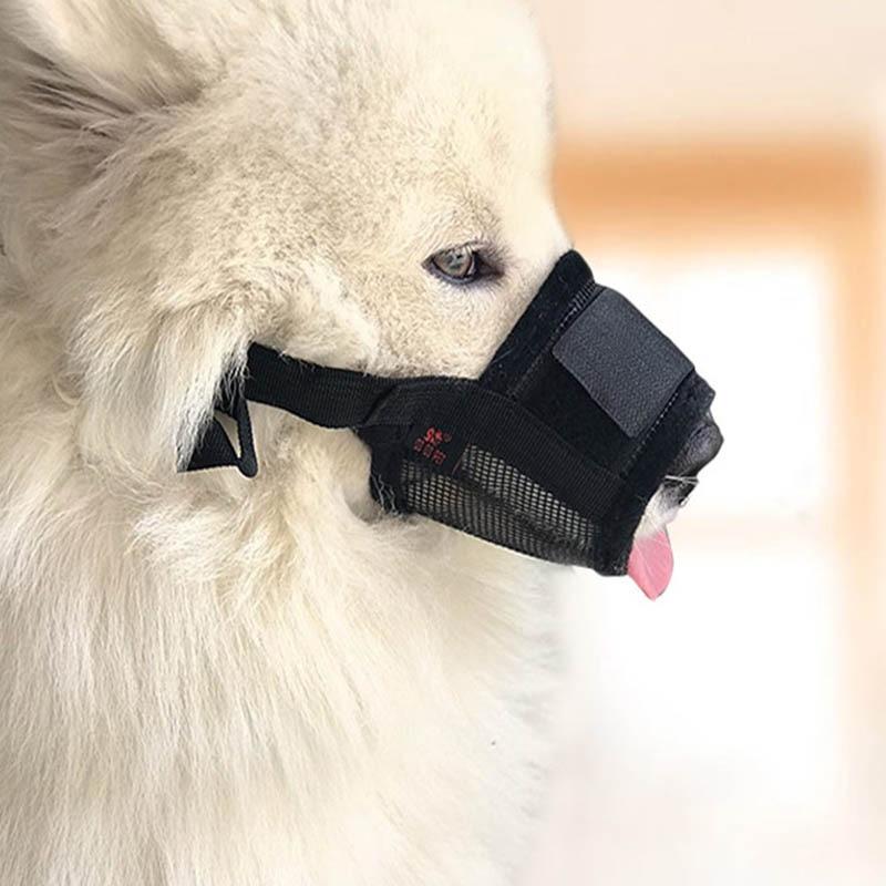 muzzle to stop chewing