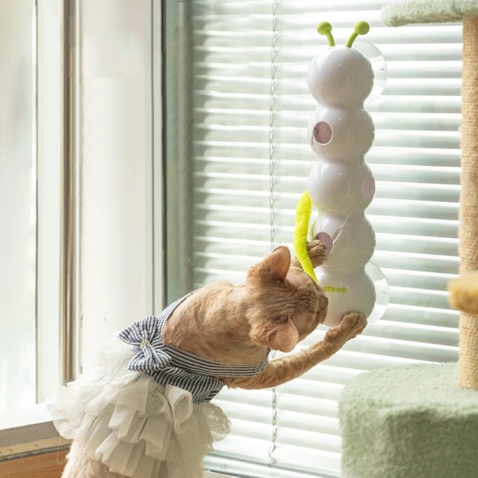 

Interactive Caterpillars Cat Toy For Indoor Cats Battery Powered Boredom Busters For Small Medium Large Cat China Mainland