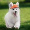 Summer with Ear Holes Headdress Puppy Sunbonnet Baseball Cap Sun Protection Dog Visor Hats