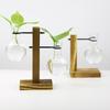 Clear Plant Propagation Stations Test Tube Hydroponic Rack with Stand Flower Planter Hydroponic Container Home Tabletop Decor