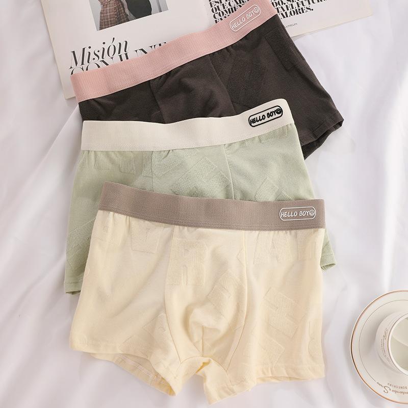 Calzoncillos tipo bóxer de algodón para hombre, paquete de 3, ropa interior sexy transpirable para hombre, cintura elástica, pantalones cortos suaves con soporte 3D