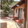 Anti-Collision Window Bird Stickers Decals Glass Door Protect and Save Bird Strikes (Clear)