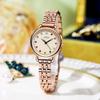 Niche Women'S High-Value Steel Belt Watch, Small And Light Luxury Birthstone Women'S Watch, Waterproof Fashion Quartz Watch