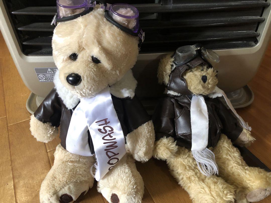 

[USED] Pilot Teddy Bear