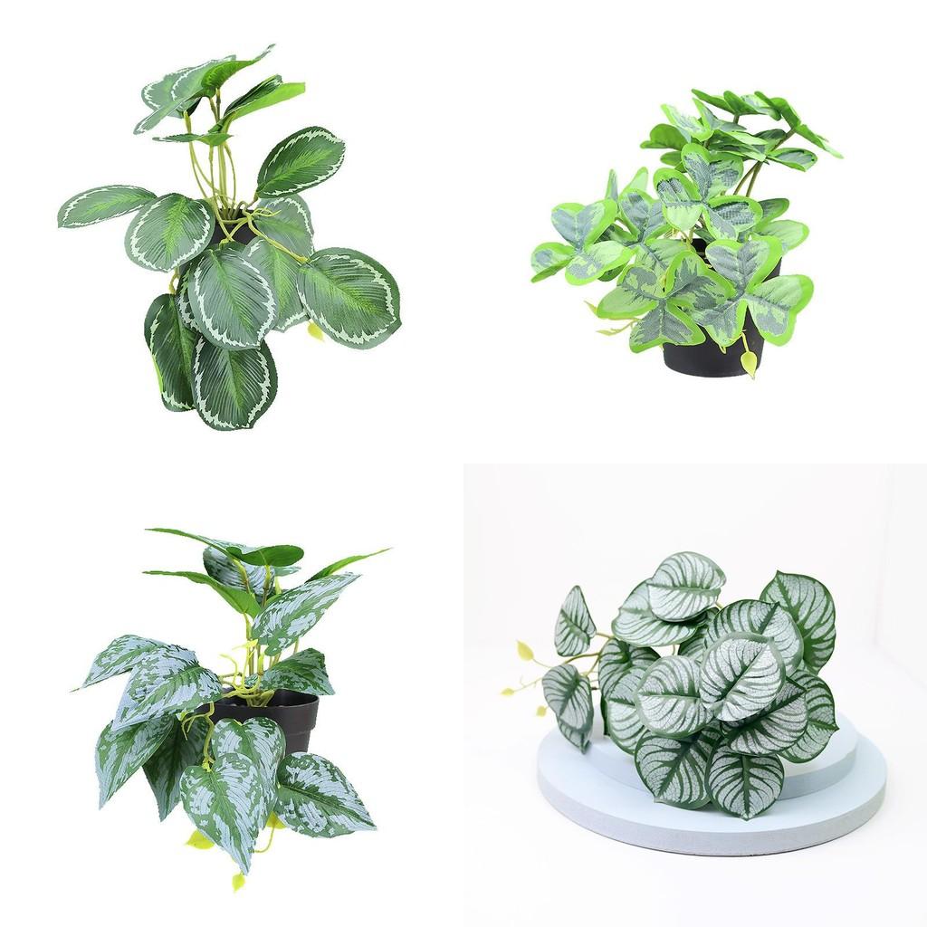 Sztuczna roślina wisząca Goeppertia Makoyana o miękkiej gumowej fakturze do domowego projektu zielonej ściany