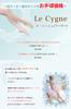 Le Cygne Ballet Tights Royal Pink Size M For Children To Adults E-Ballerina Japanese-Made (No Holes) (Pink)