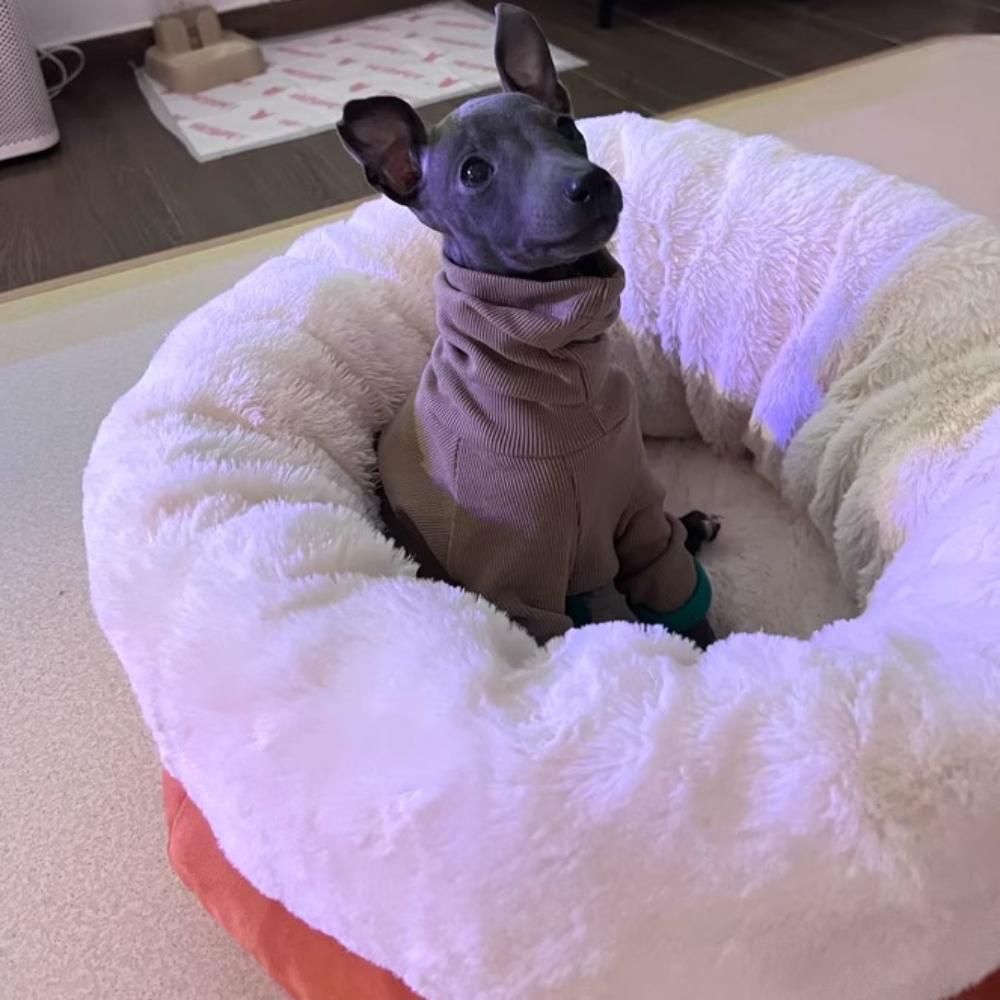 Soft Warm Pet Dog Sweater Pajamas,Winter Puppy Hoodies - 4 Legs & Belly Covered,High Quality Sweaters For Whippet Greyhound