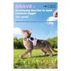 ABKP-Escape-Proof Cat Harness XS With For Airtag Holder Reflective Adjustable Kitten Vest For Outdoor Walking Cat