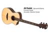 Bromo BAR5CE acustica elettrica tutta massello custodia morbida chitarra Bromo, legno, incluso,