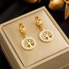 Stainless Steel Geometric Luxury Crystal Earrings For Women Girl New Waterproof Earrings Ear Jewelry Gift