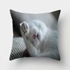 Cute Cat Print Decorative Cushions Pillowcase Polyester Cushion Cover Throw Pillow Sofa Living Room Decoration Pillowcover
