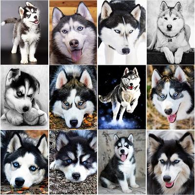 Naujas 5D „pasidaryk pats“ deimantinis piešimas „Husky“ deimantinis siuvinėjimas Gyvūnų siuvinėjimas kryželiu, pilnas kvadratas, apvalus grąžtas, amatai namų dekoro rankinis dovana