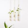 Thickened Hanging Glass Planter Wall Hanging Glass Vase Creative Test Tube Vases  Home Decoration