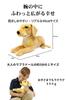 TigerTaleToys Labrador Retriever Large Plush inches Perfect for Large Dogs Japanese Toy, Realistic, 18.5 (46 cm), [Official Product]