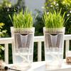 Automatic Watering Flower Pot Mini Self Pots with Wick, Clear Plastic Planters Drainage Holes & Water Level Indicator for Indoor Plants