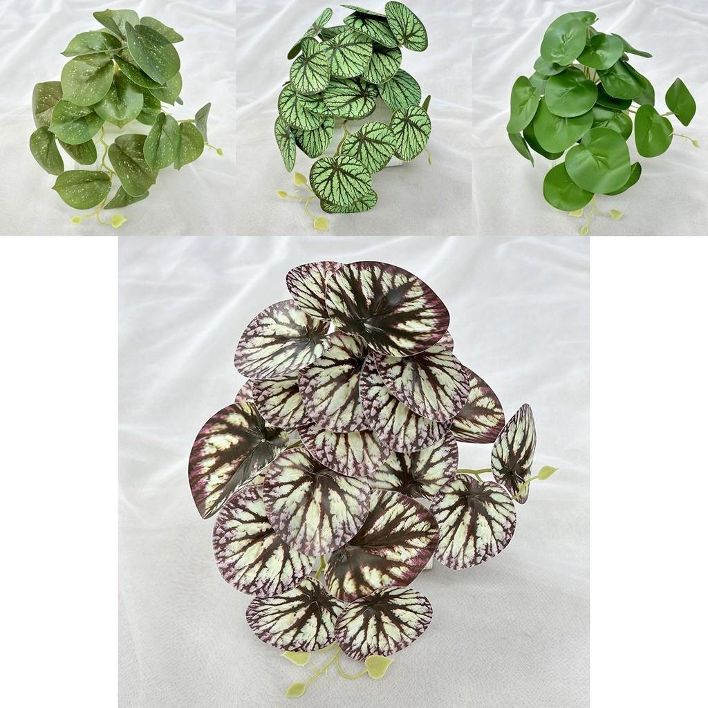Faux Green Plants With Colocasia Leaves For Home Staging And Photo Props