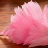 Pink Flamingo Feather Hair Clip Soft Imitation Feathers Metal Clip Pink Theme Hair Pin Summer Decor Hair Accessories