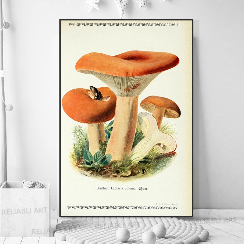 Vintage Mushroom Exemen Malba na plátně Starožitné umění na zeď Bylinné obrazy Vědecké plakáty a grafiky Dekor domácí kanceláře Cuadros