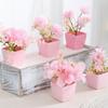 3/6PCS Set New DIY Artificial Potted Plant Mini Plastic Artificial Flower Bonsai Tabletop Landscape Home Display