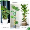 DIY Modeling Plant Climbing Rod Climbing Vine Coconut Palm Rod Can Be Bent and Shaped Moss Rod Green Dill Gardening Pillar