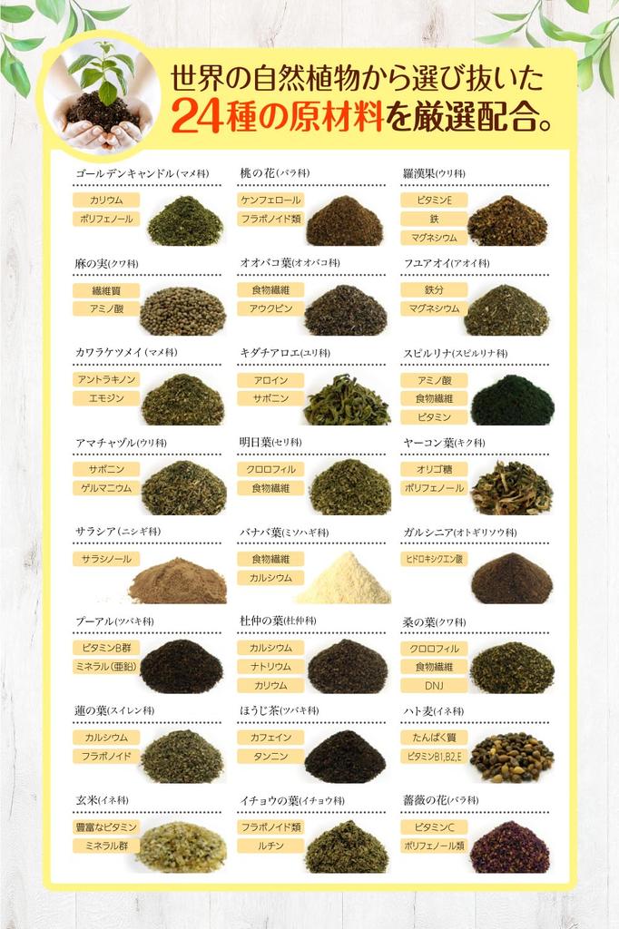 Herb Health Honpo Morimori Slim (Smak Hojicha) (30 paczek)