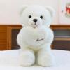 Love Variety Bear Plush Toy Wedding Gift Confession Teddy Bear Ring Doll