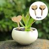 Labels En Tags Set Vegetables Potted Garden Stake Note Indoor E Outdoor
