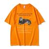 All I Need To Know about Life I Learned From My Cat Graphic Tshirt Unisex Women Cotton Oversized Tshirt Unisex Kawaii Cute T Shirt