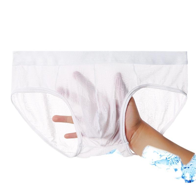 Men's Sexy Triangle Briefs: Breathable Jacquard Nylon Underwear
