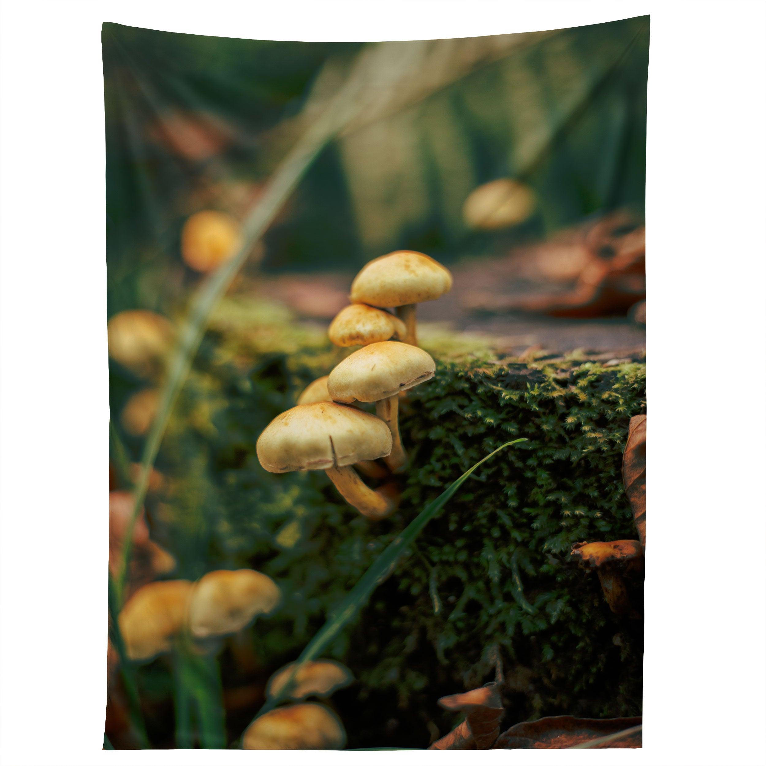 LITTLE MUSHROOMS PHOTO tapestry 75x100