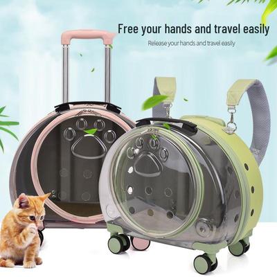 Airline-Approved Transparent Pet Backpack Trolley for Cats and Dogs