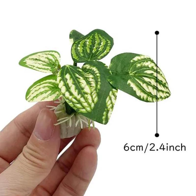 Kleines Unterwassergras Aquarium Fischtank Simulation Dekoration Aquarium Hintergründe Pflanzen Wassergras Zubehör Zuhause