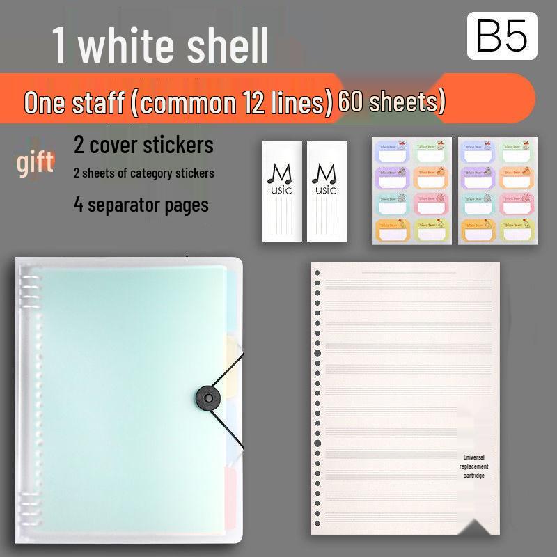 Professional Loose-leaf Music Staff Paper Book: Wide Spacing for Beginners and Students (Large Grid)