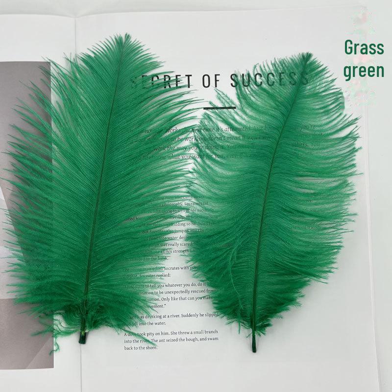 Barevné zavírače na dorty z pštrosího peří a příslušenství