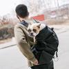 Pet Travel Backpack: Ventilated & Breathable Double Shoulder Bag for Dogs - Perfect for Biking & Shopping