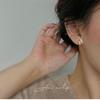 Premium Ear Buckle Light Luxury Fashion Versatile Exquisite New Ear Clip Earrings Women